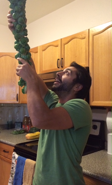 Is that a bean stalk or a brussel sprout stalk? Ha!
