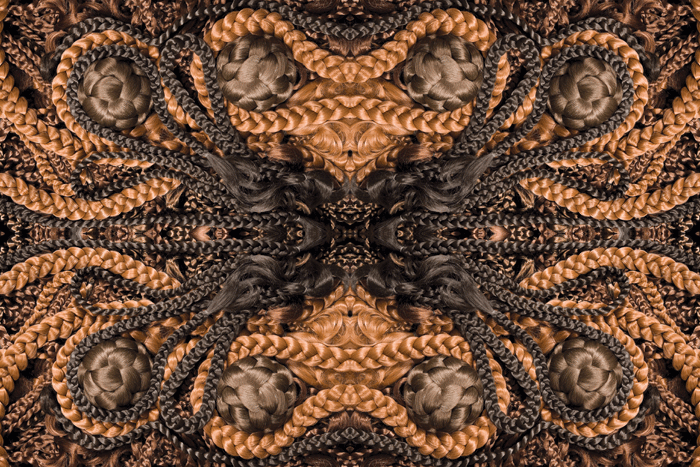 14_harmonichairdonr2-cprint--hrafnhildurarnardottirakashoplifter-formatted-for-cia-book-cld060810069.gif