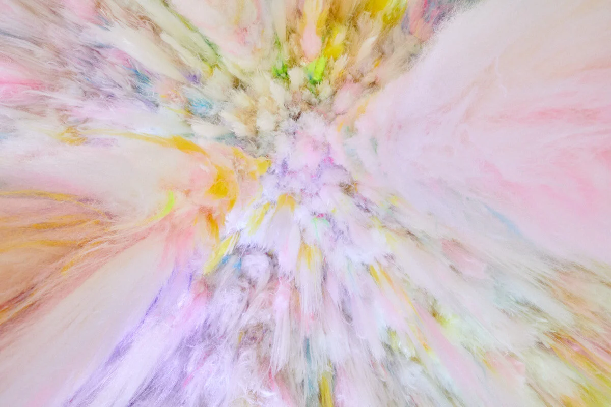 MS20_Shoplifter_Chromo Sapiens_PTH0900_WEB.jpg