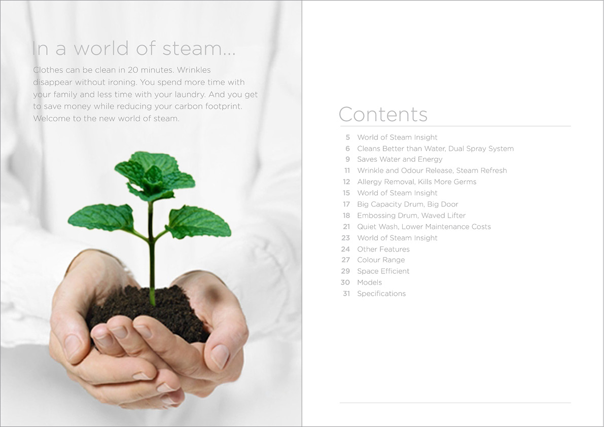 LMD_Port_LG Steamwash1.jpg