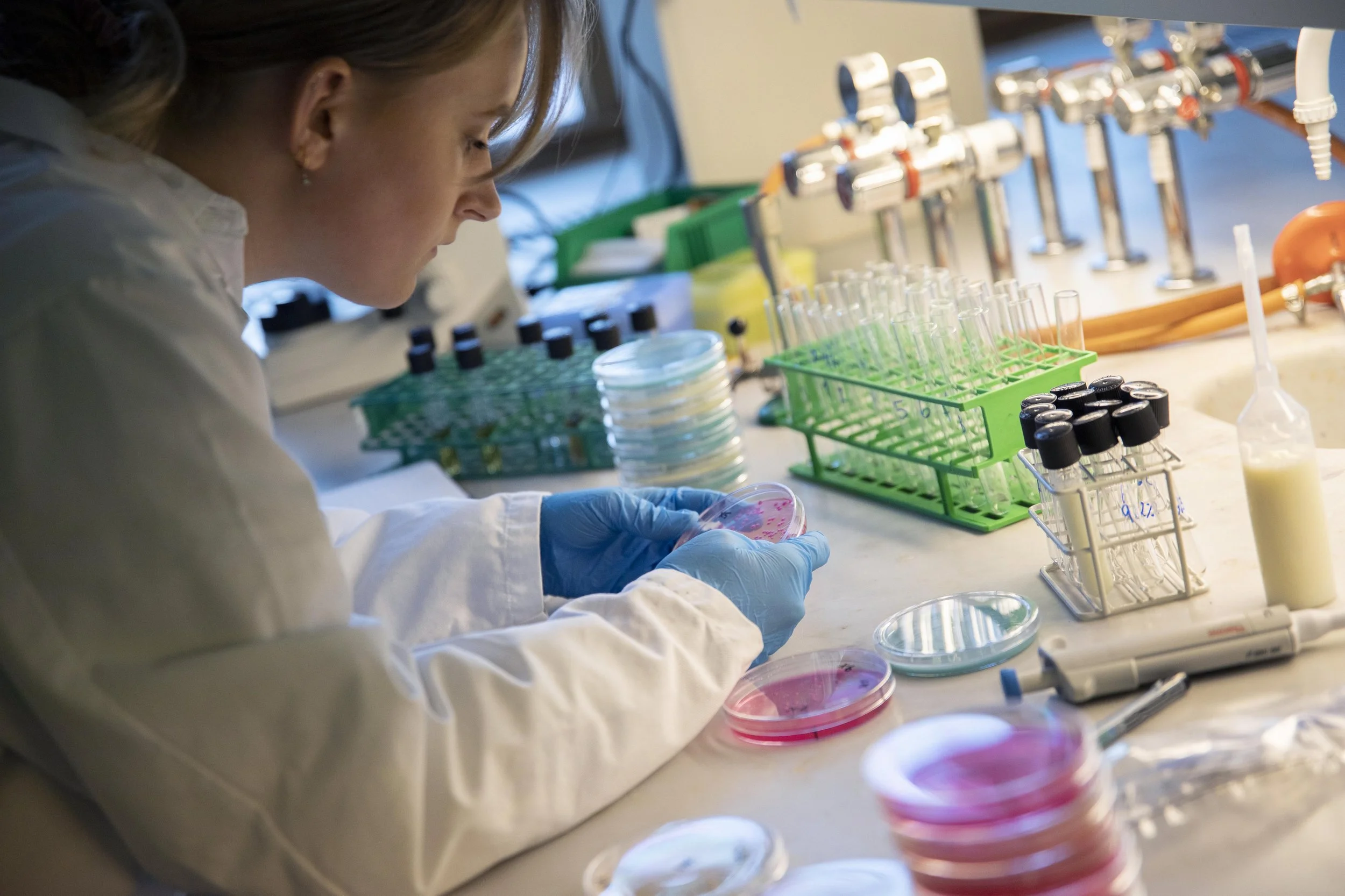 Studenter_07 kopi.jpg