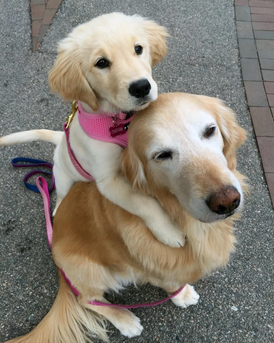 Kallie and Sister.jpg
