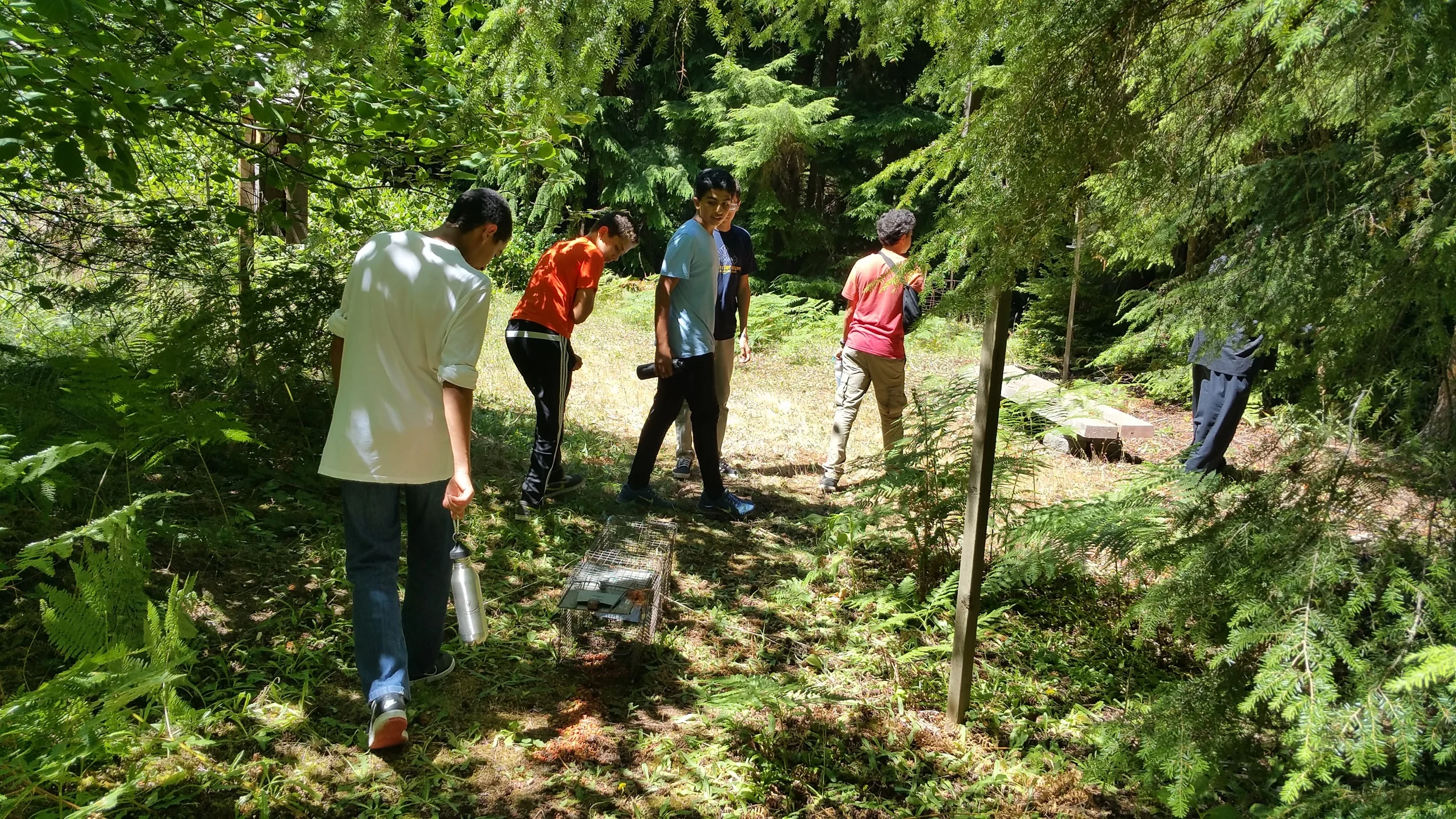 20150702_135327.jpg