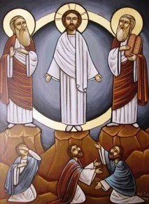 Weekly Update - August 19