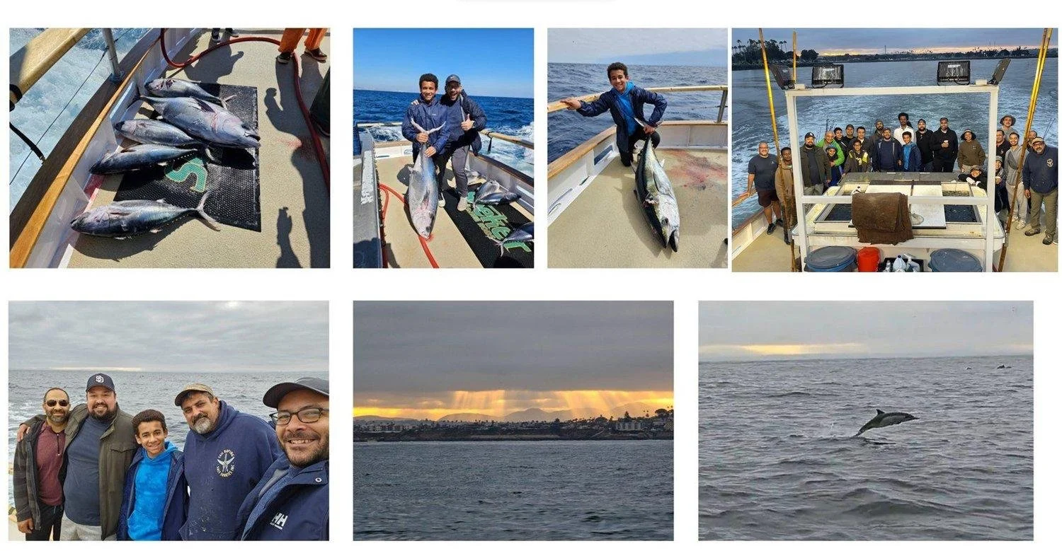 WhatsApp Image 2024-05-15 at 15.14.44.jpeg