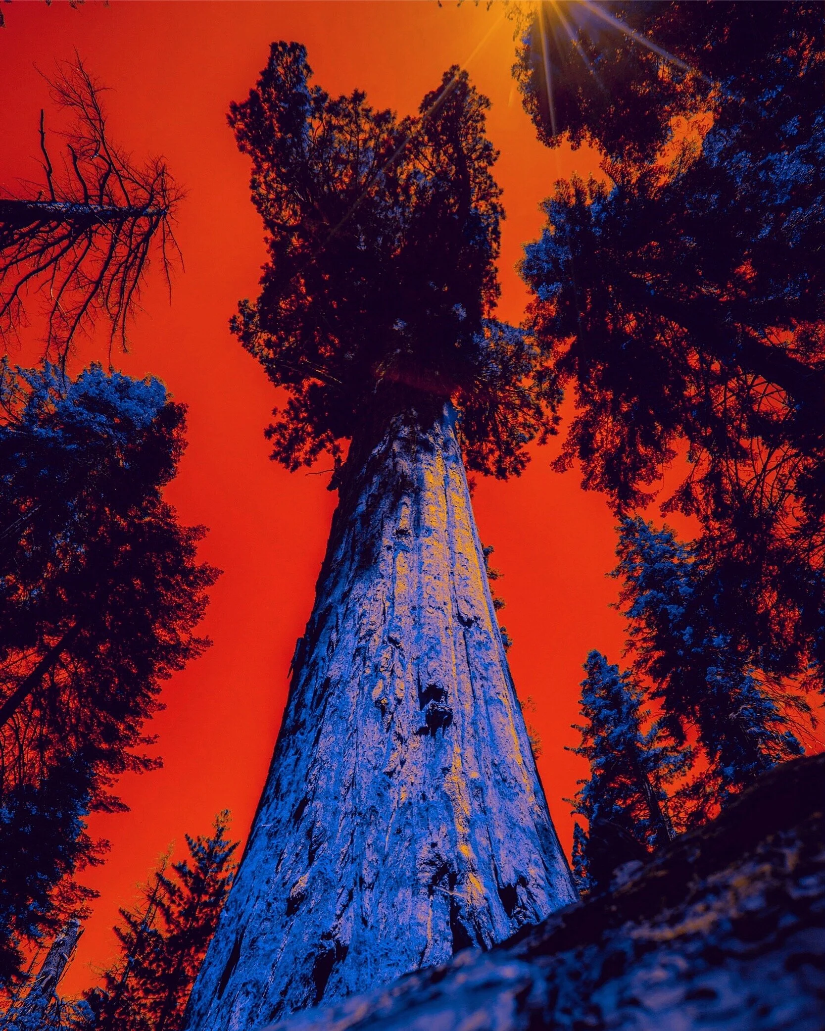 224CFA9F-D480-4111-A176-4EDEEA428138 2.JPG