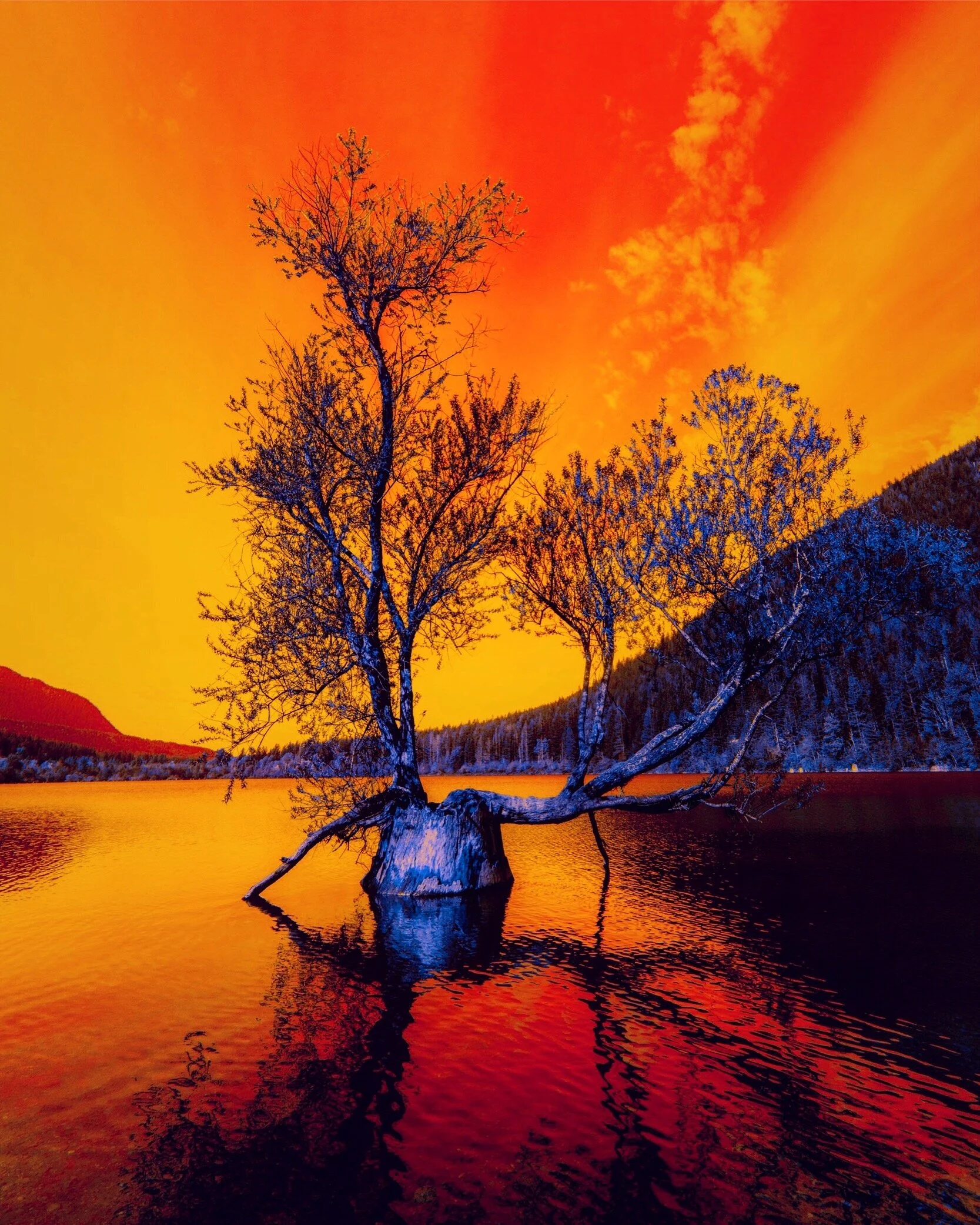 1E7D0407-4E54-47BE-A386-B3025AE232D1 2.JPG