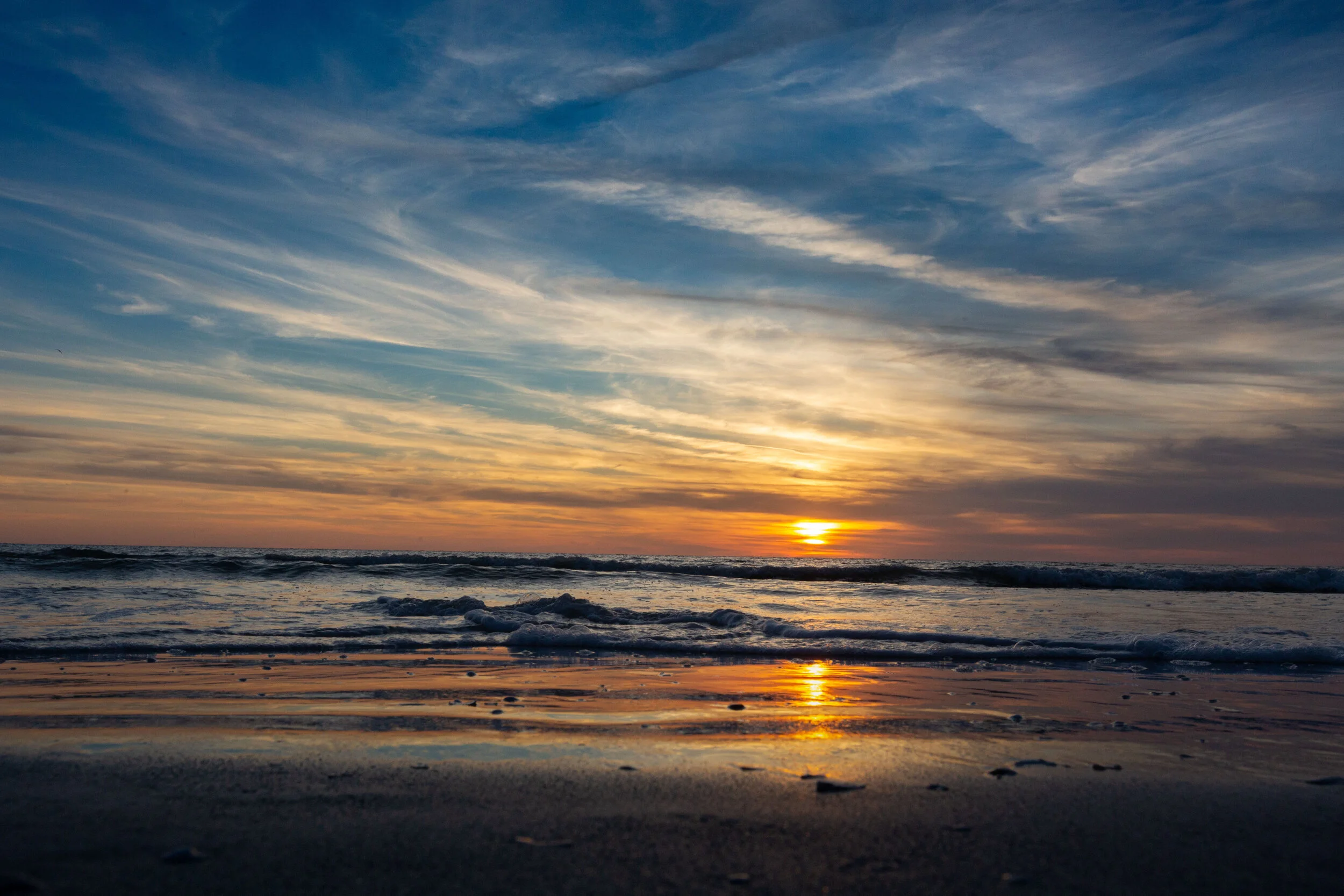 Florida-1-6.JPG