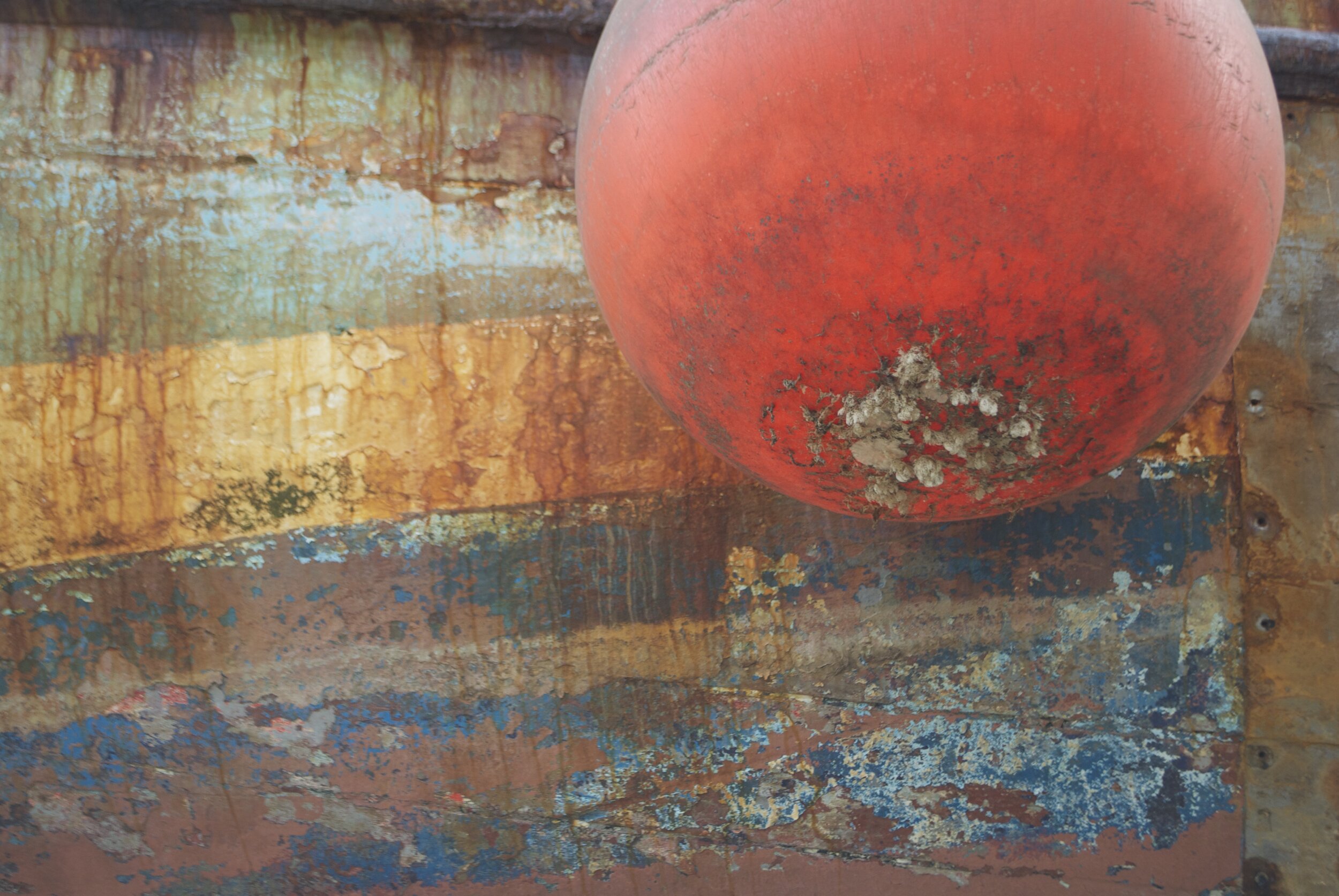 GYM paint and buoy.jpg