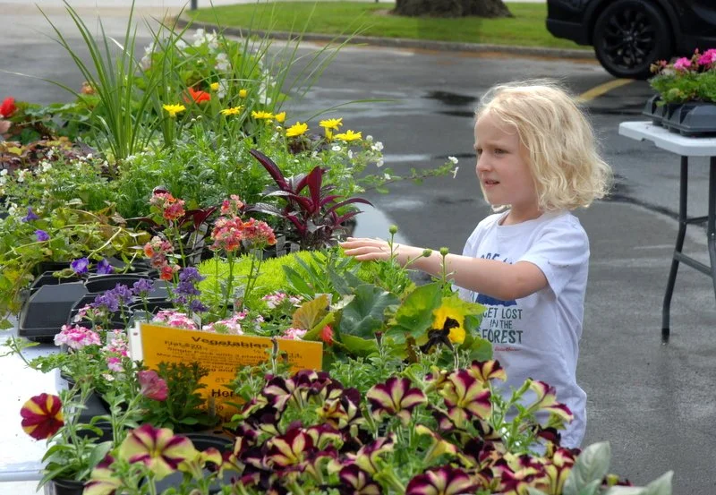 Plant Sale 2026 ~ Larchmere Community Association   