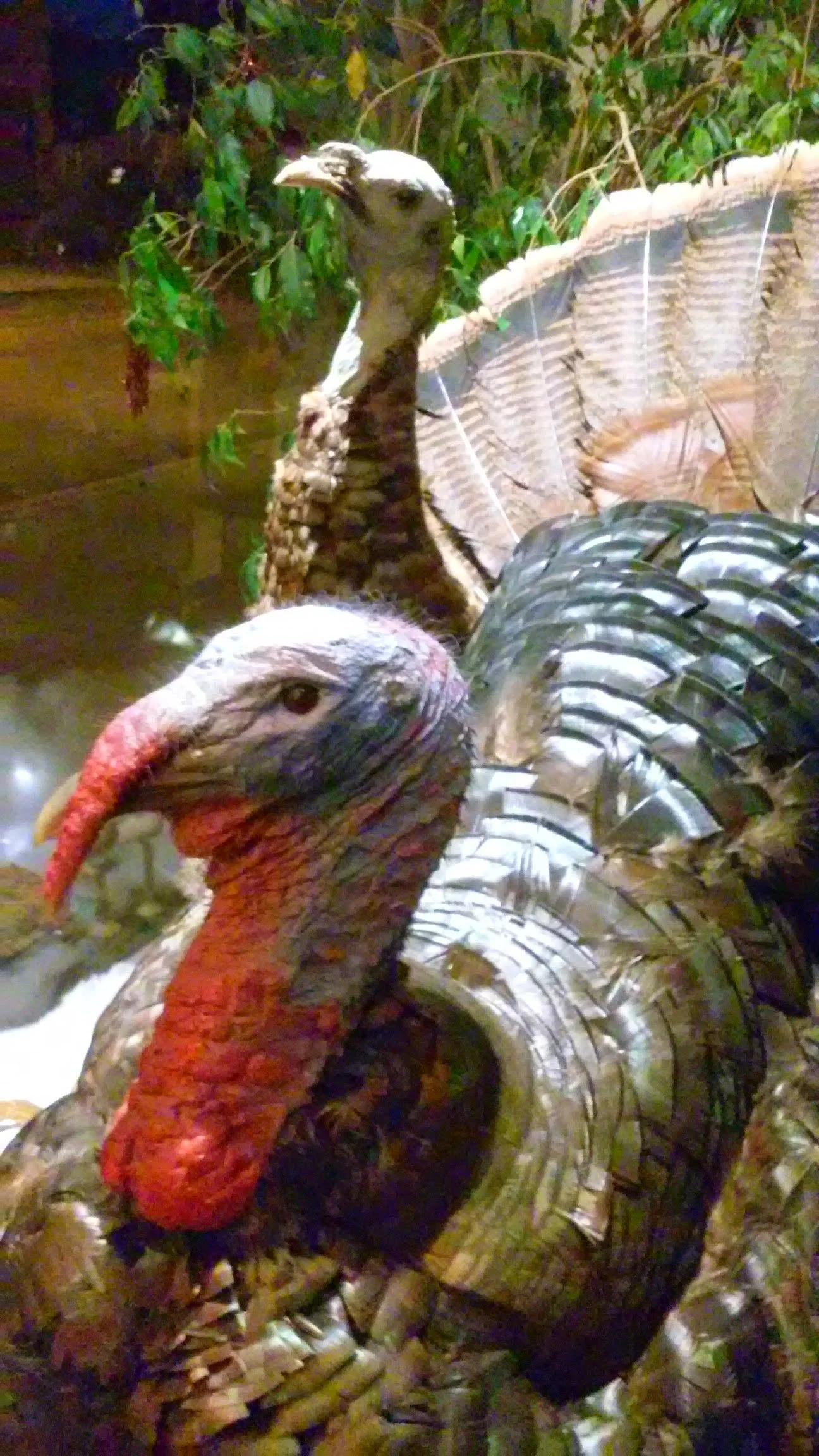 Larchmere Holiday Stroll 