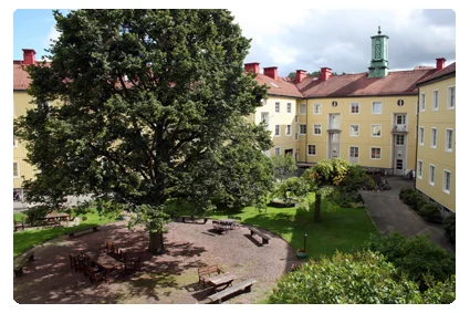 bild8.jpg