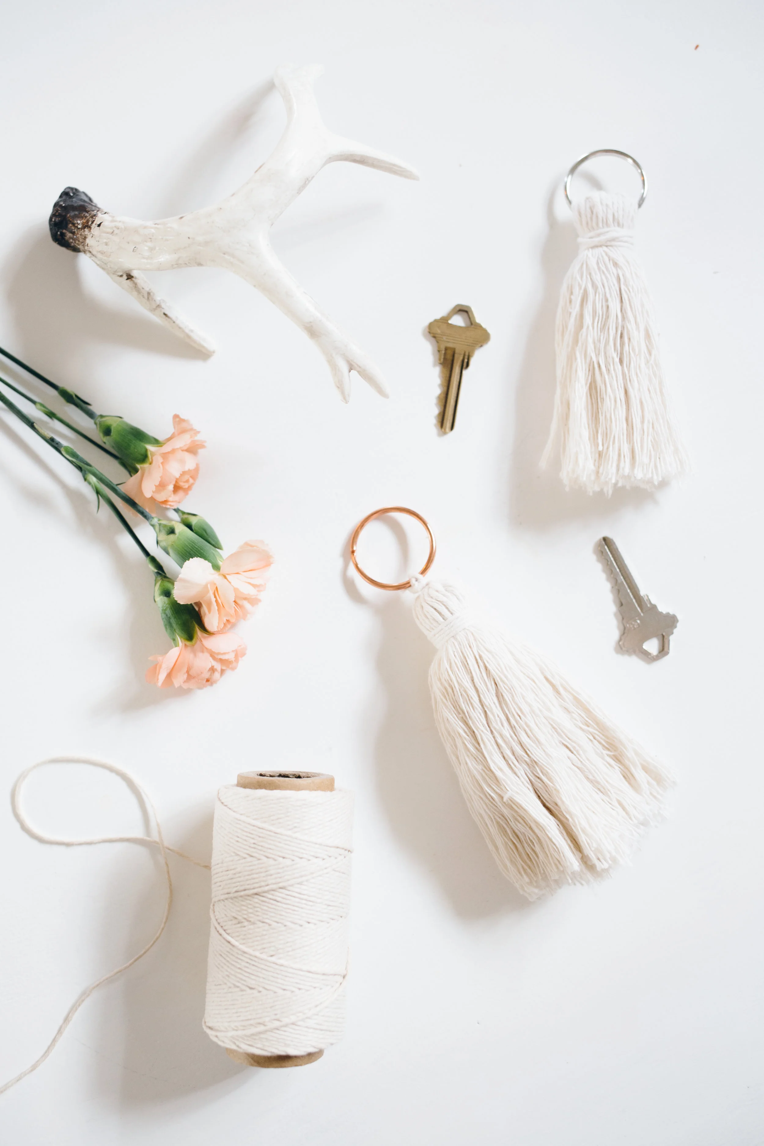 Knot_Ivy-5377.jpg
