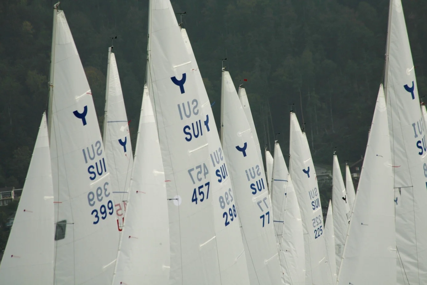 Yngling gehört zu aktivsten Regattaklassen