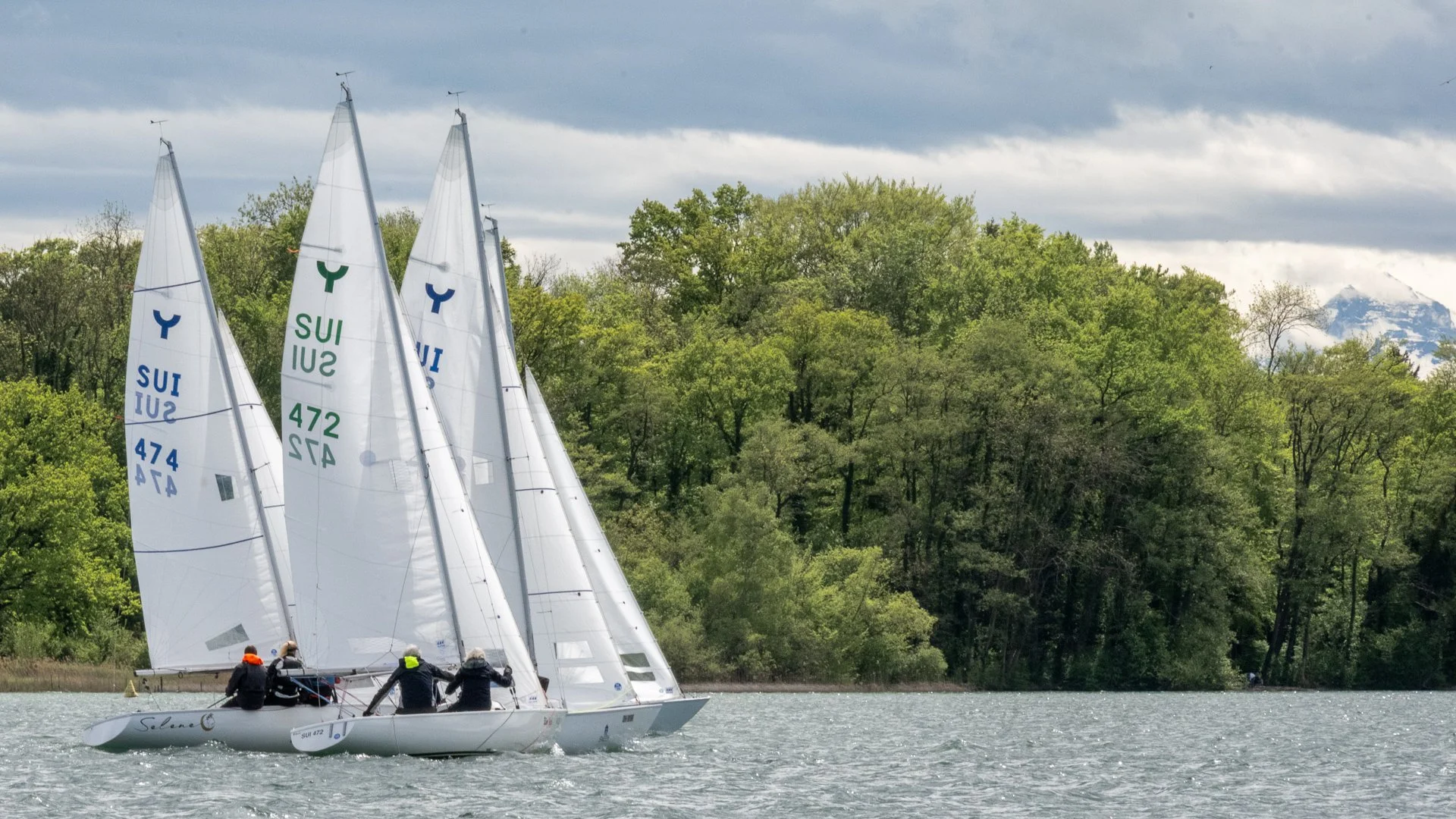 Flottenhöck Hallwilersee