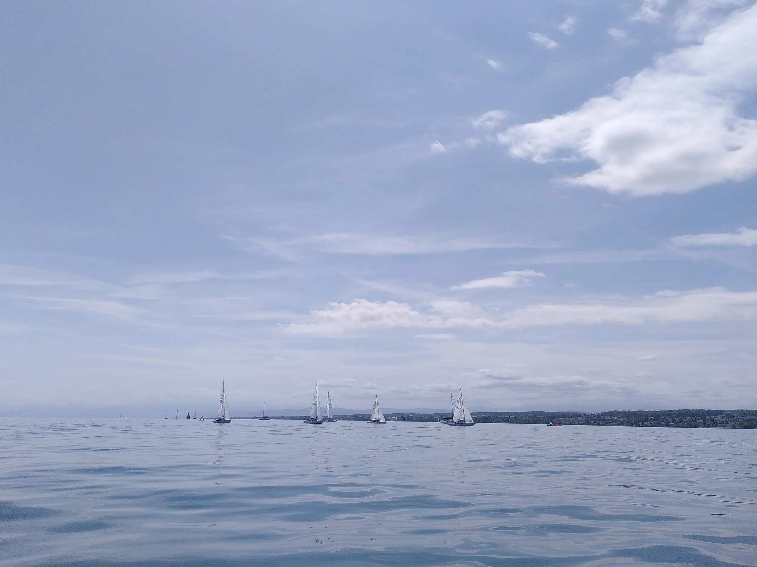 IMG_20260607_114851~2.jpg
