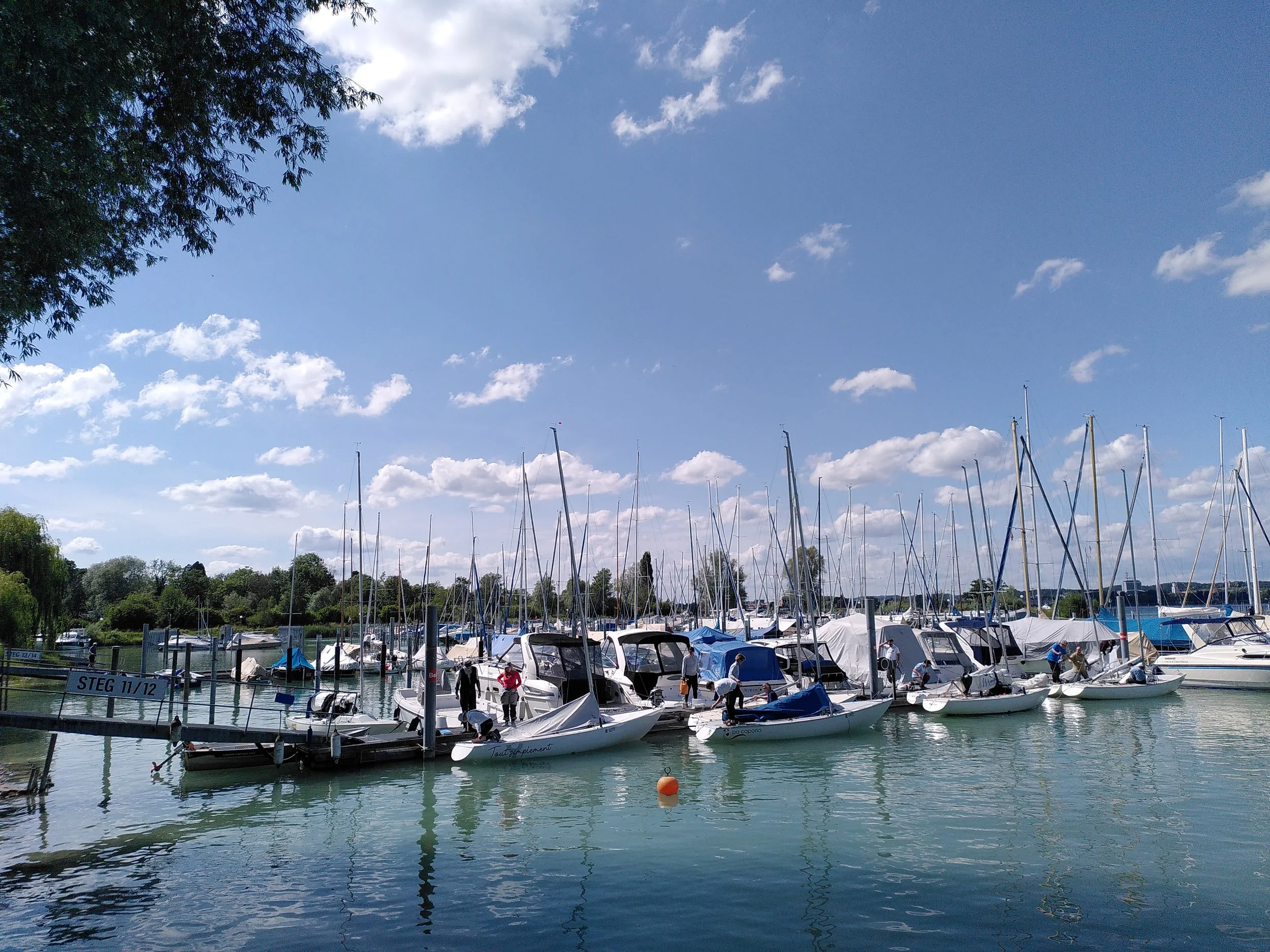IMG_20260606_160406.jpg