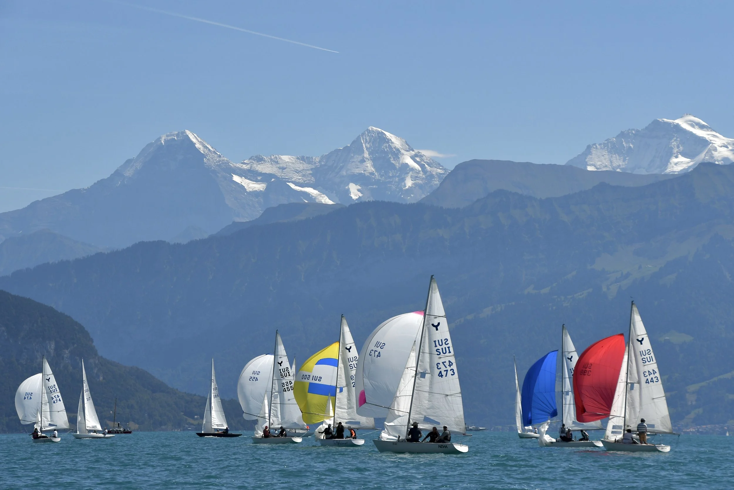 Yngling Cup 5, Thunersee Yachtclub
