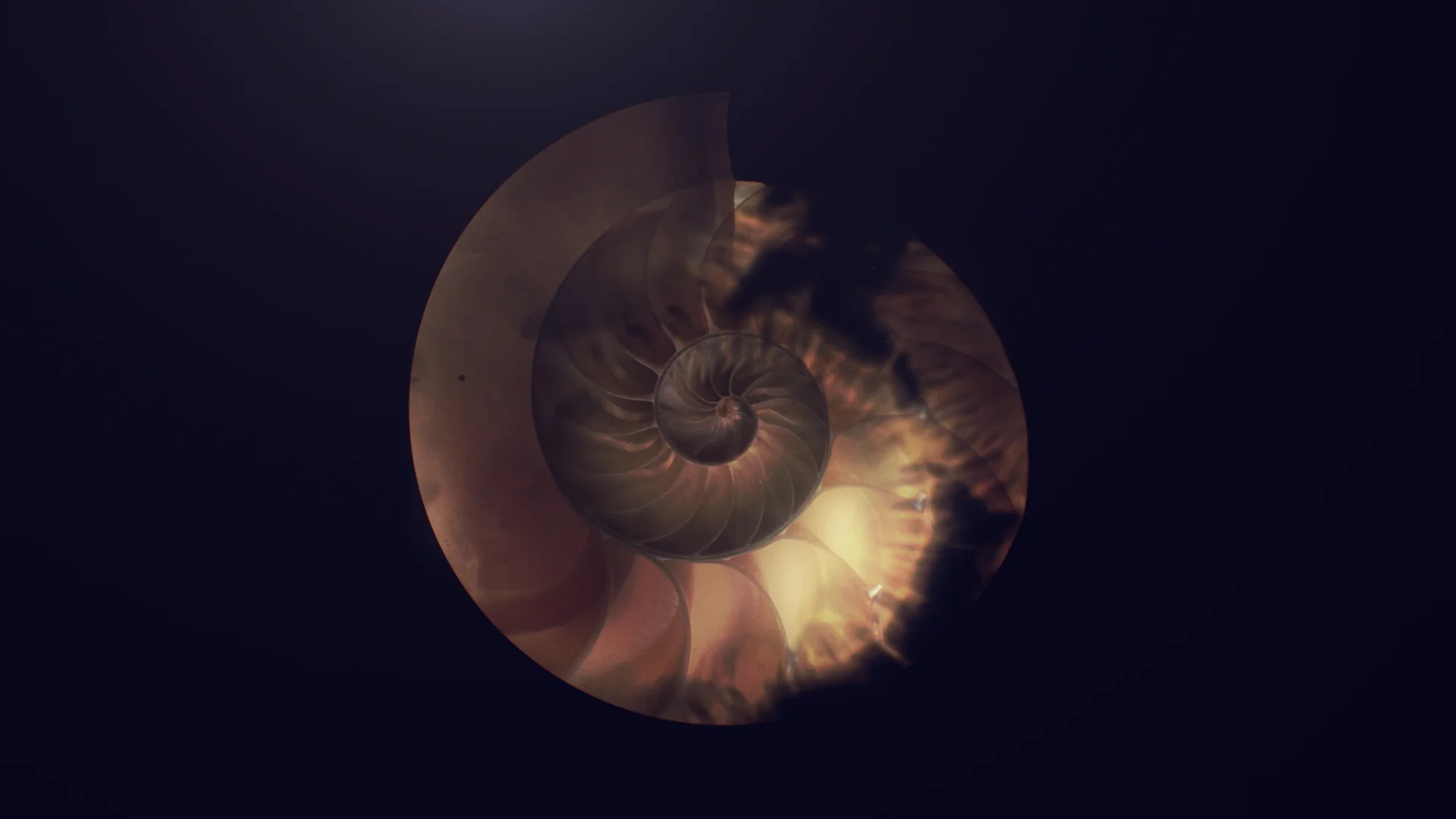 extant_06.jpg