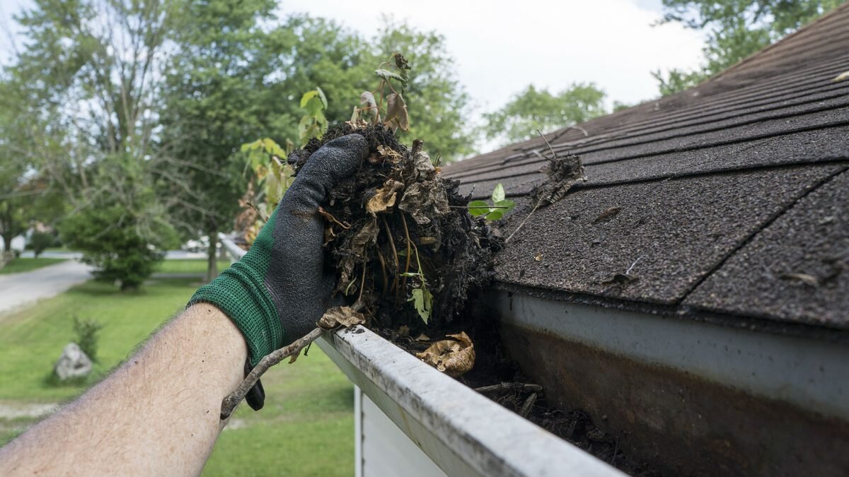 Residential and Commercial   Gutter Clean Out    What we do  