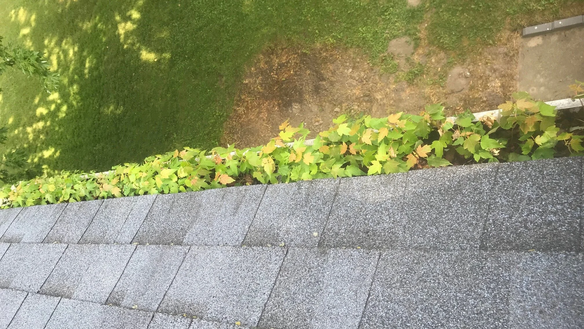 bordergutters.jpg