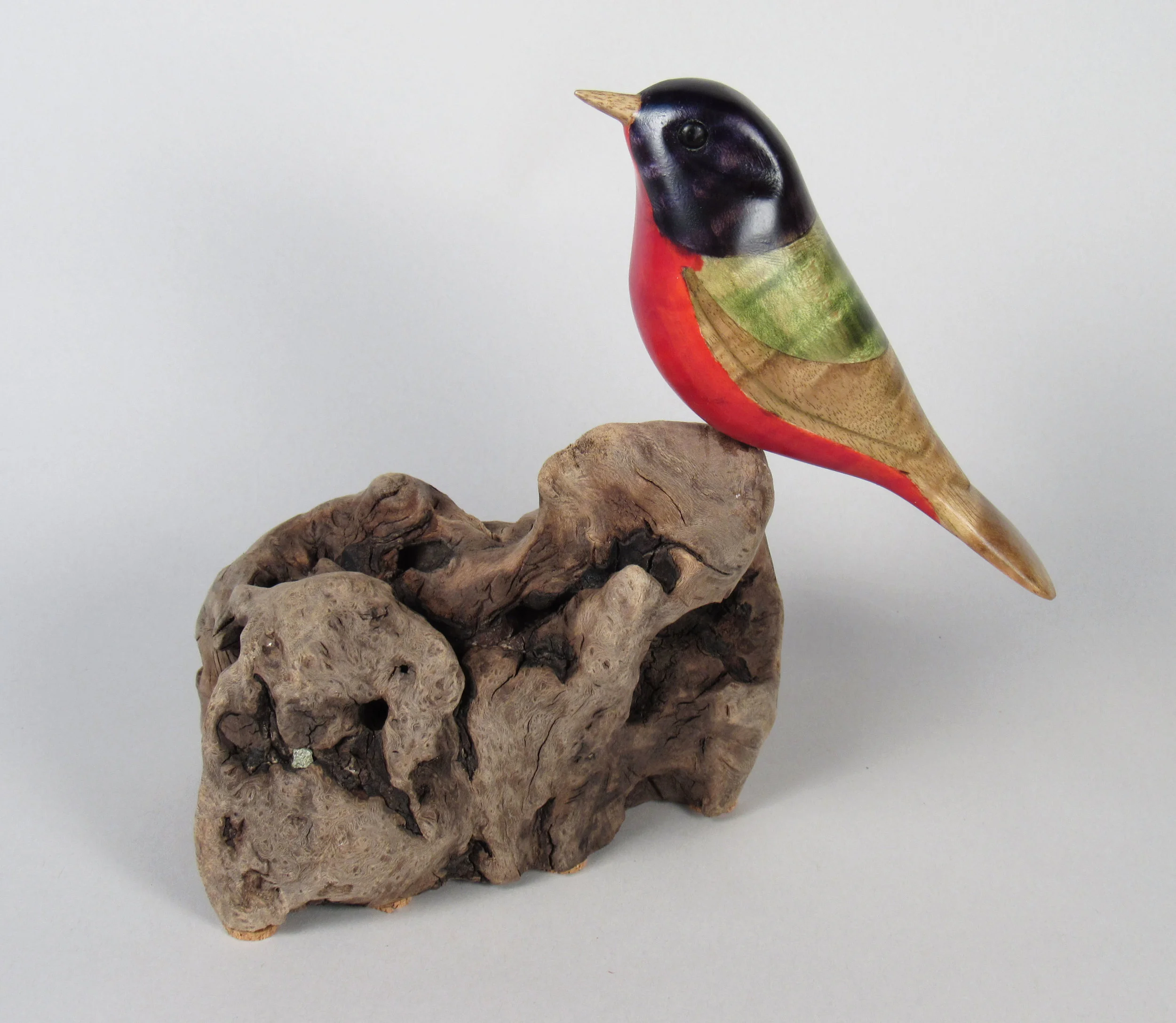 Bird by Gordon Stennett