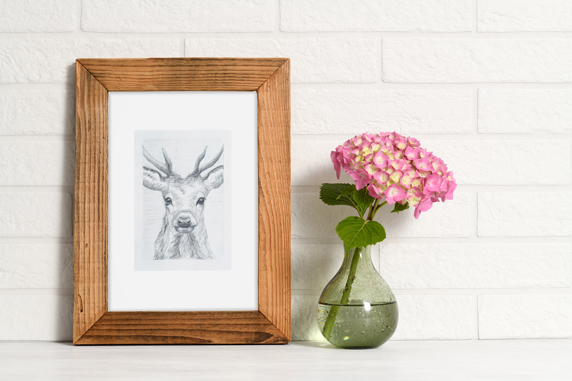'Study of a Stag'