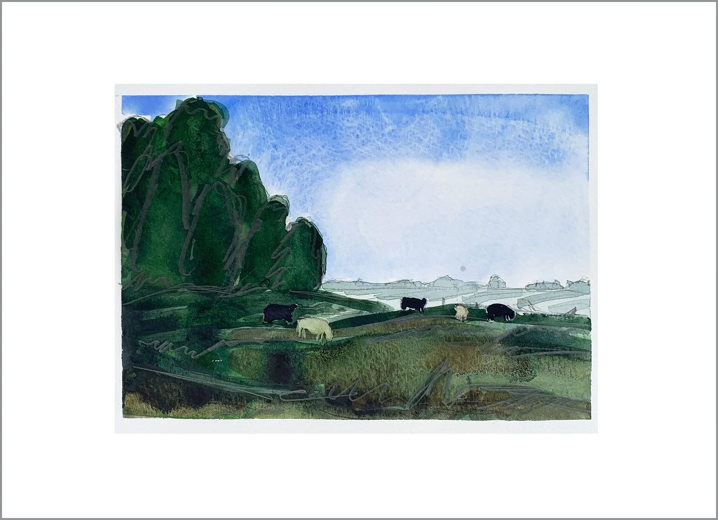 Pasture in Early Afternoon_Website.jpg