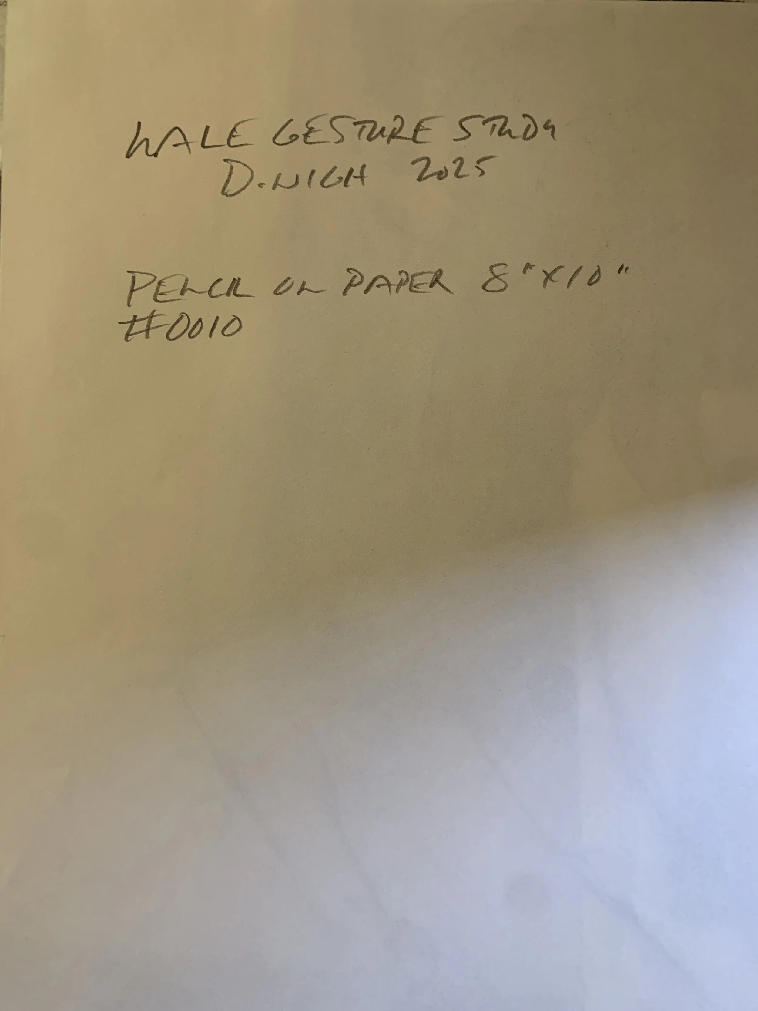 0010_Male Gesture Study.jpg