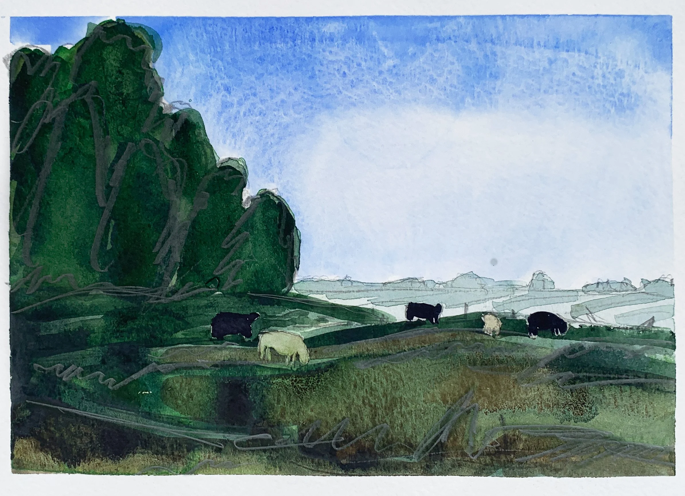 Pasture in Early Afternoon.jpg