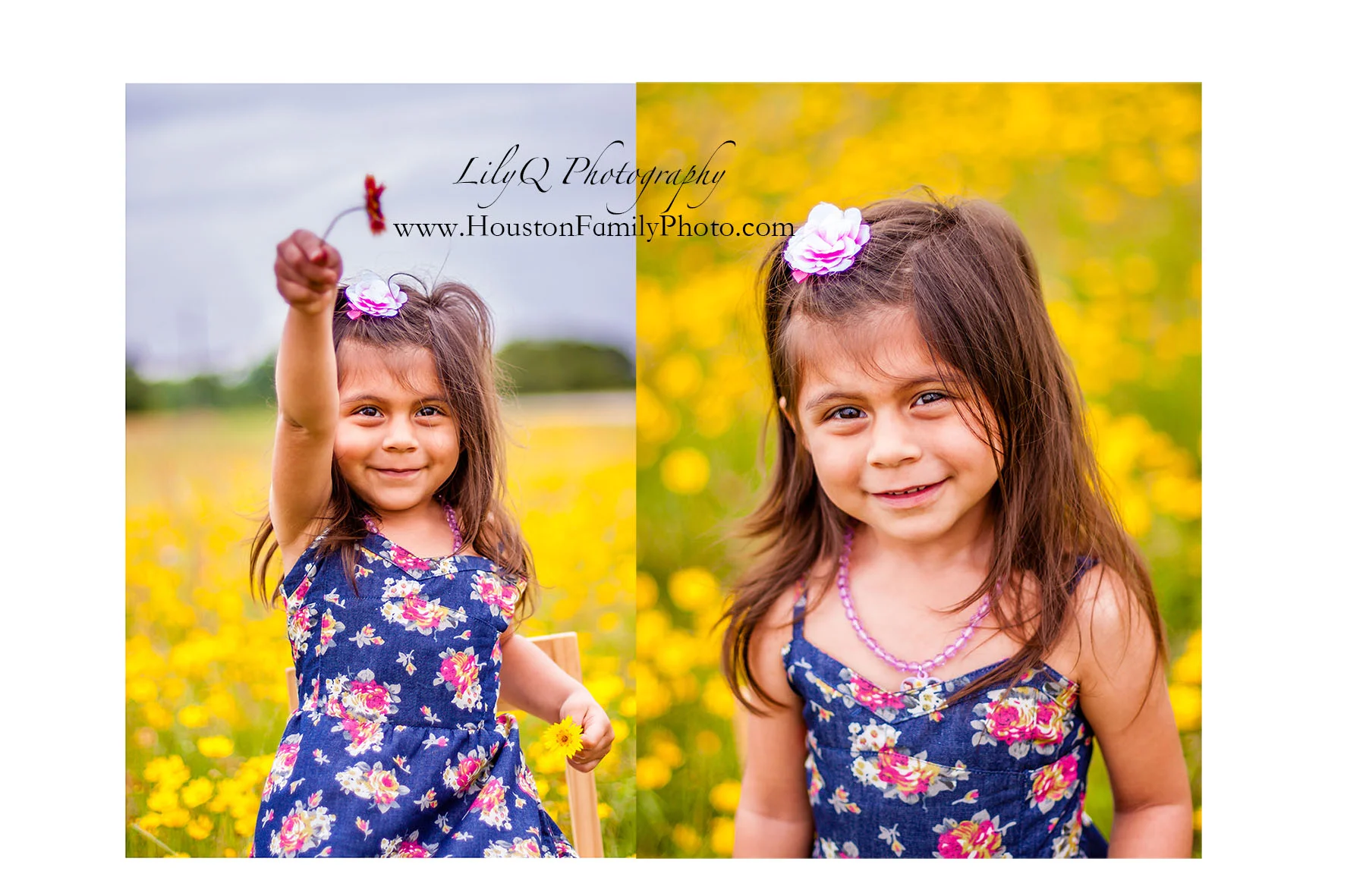 LilyQ - 2014-04-21-2355_use.jpg