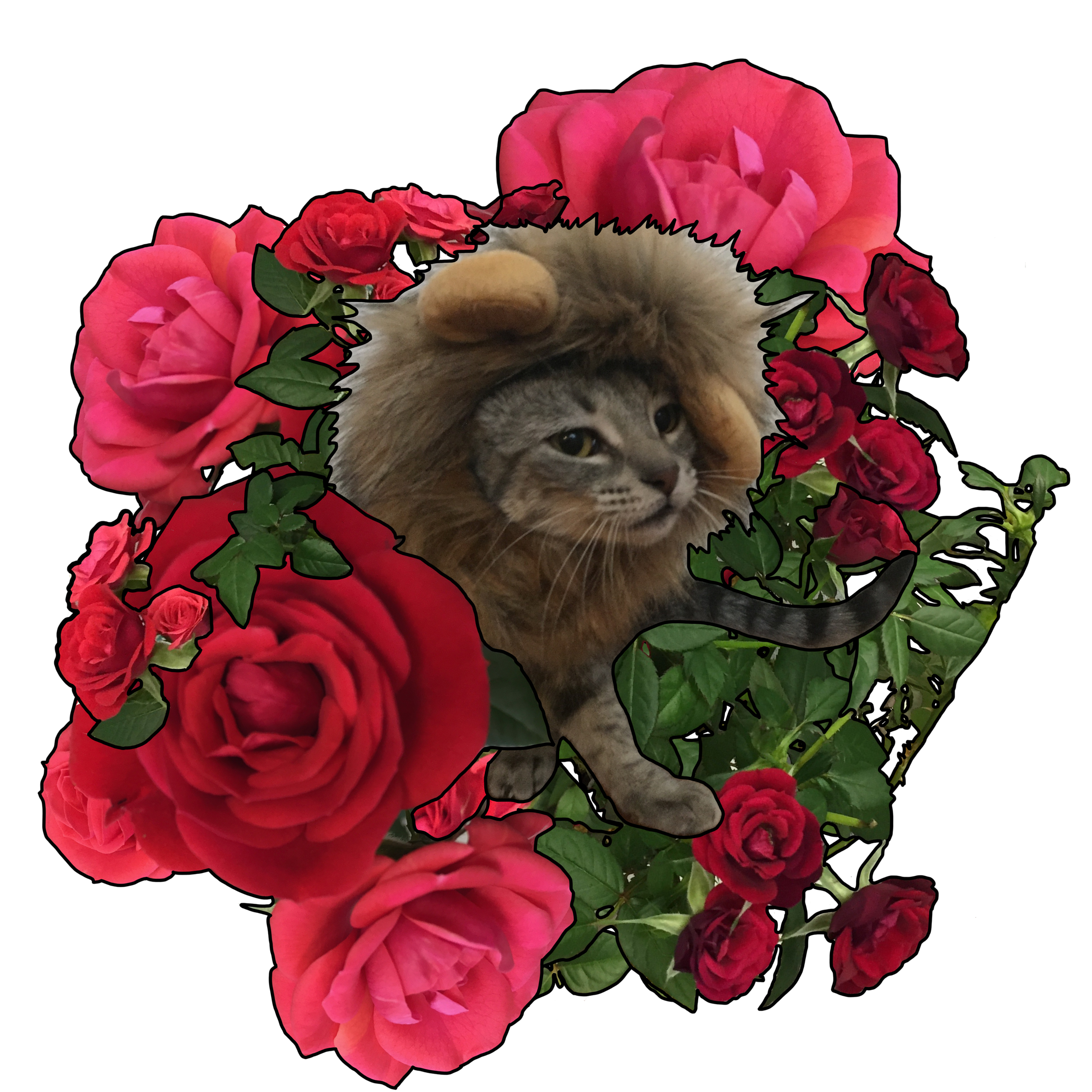 I Won't Be Lion to You, Flora