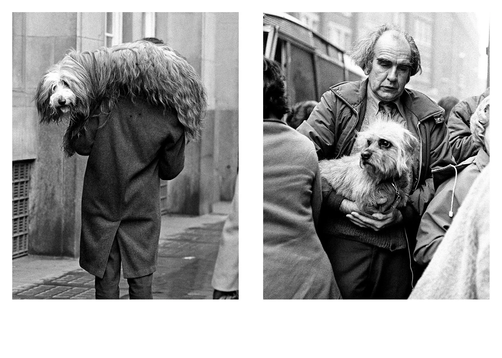 Sonya Newell-Smith Dog People Crufts c1970 web12004.jpg