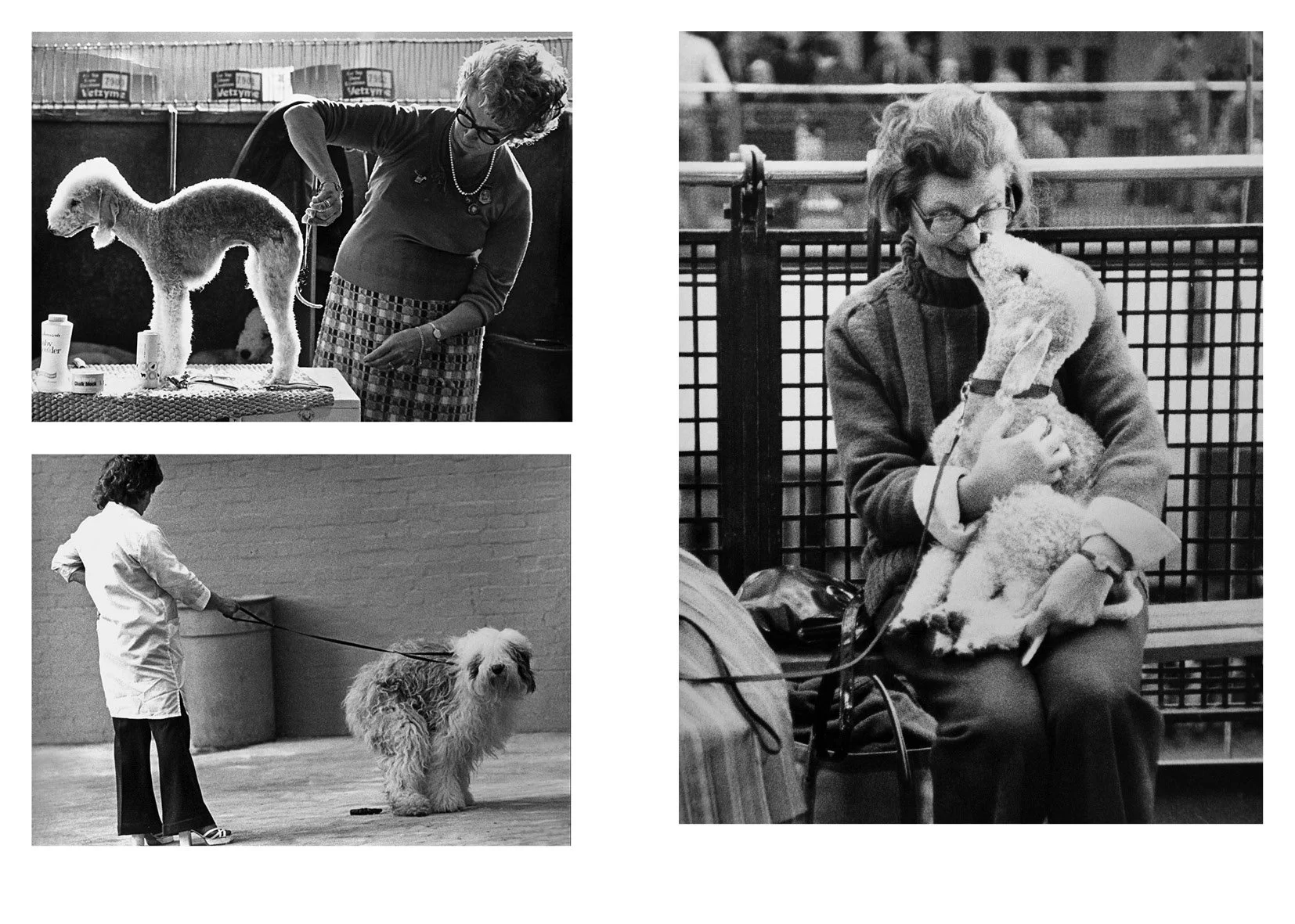 Sonya Newell-Smith Dog People Crufts c1970 web120011.jpg