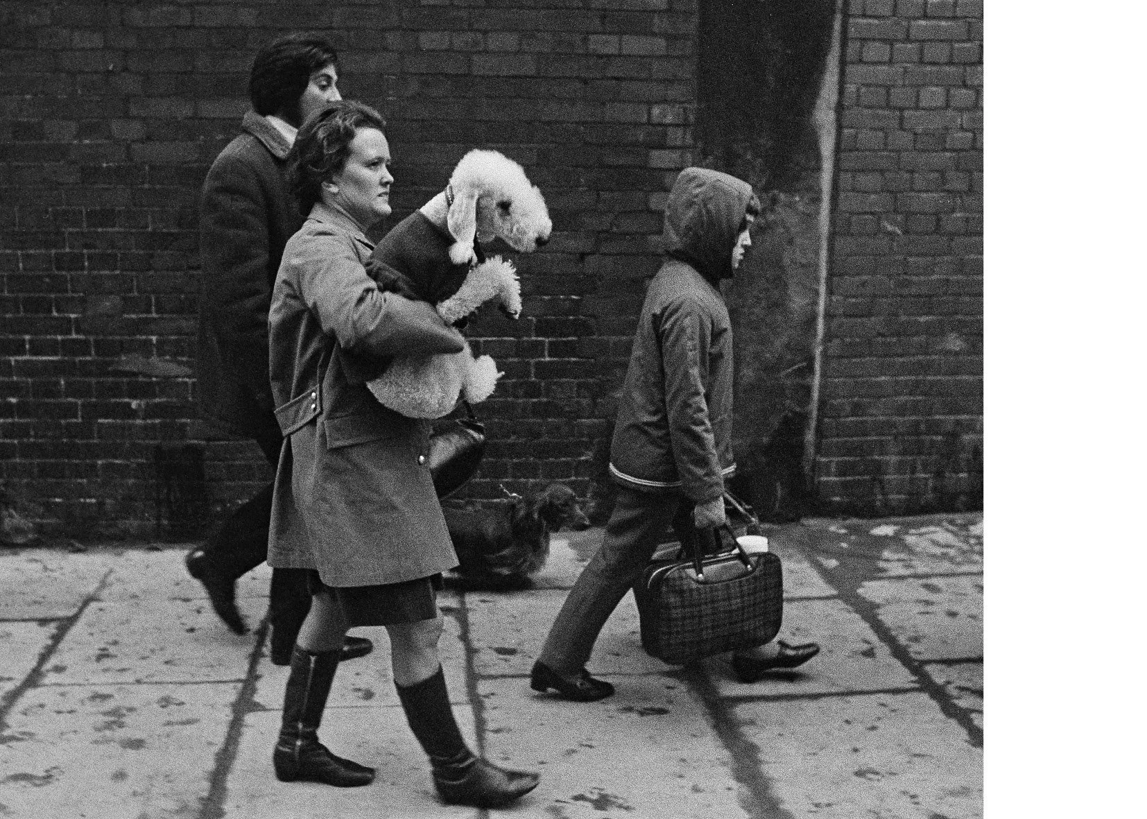 Sonya Newell-Smith Dog People Crufts c1970 web120017.jpg