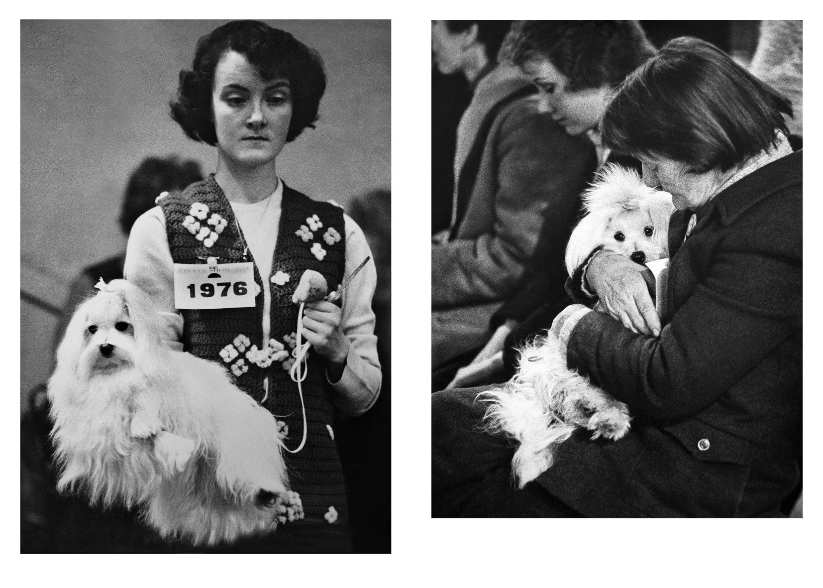 Sonya Newell-Smith Dog People Crufts c1970 web12008.jpg