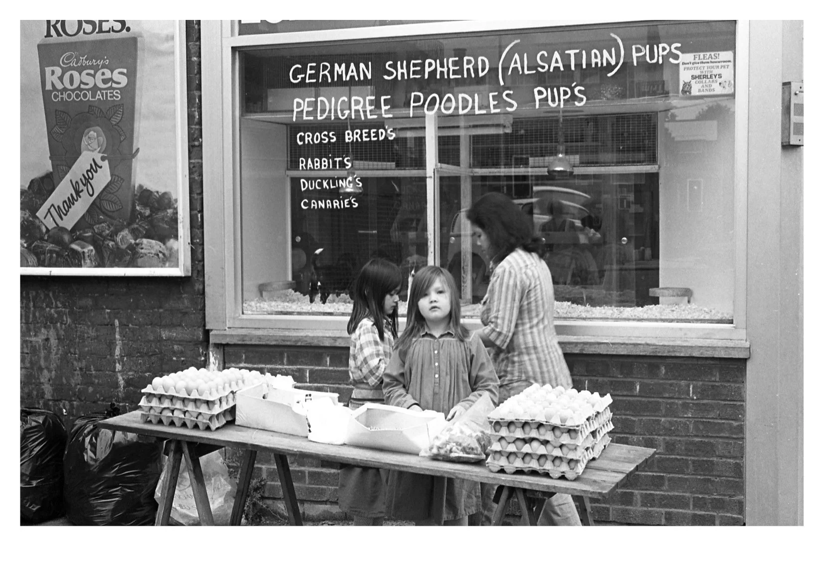 Ian Sumner London 7278web120011.jpg