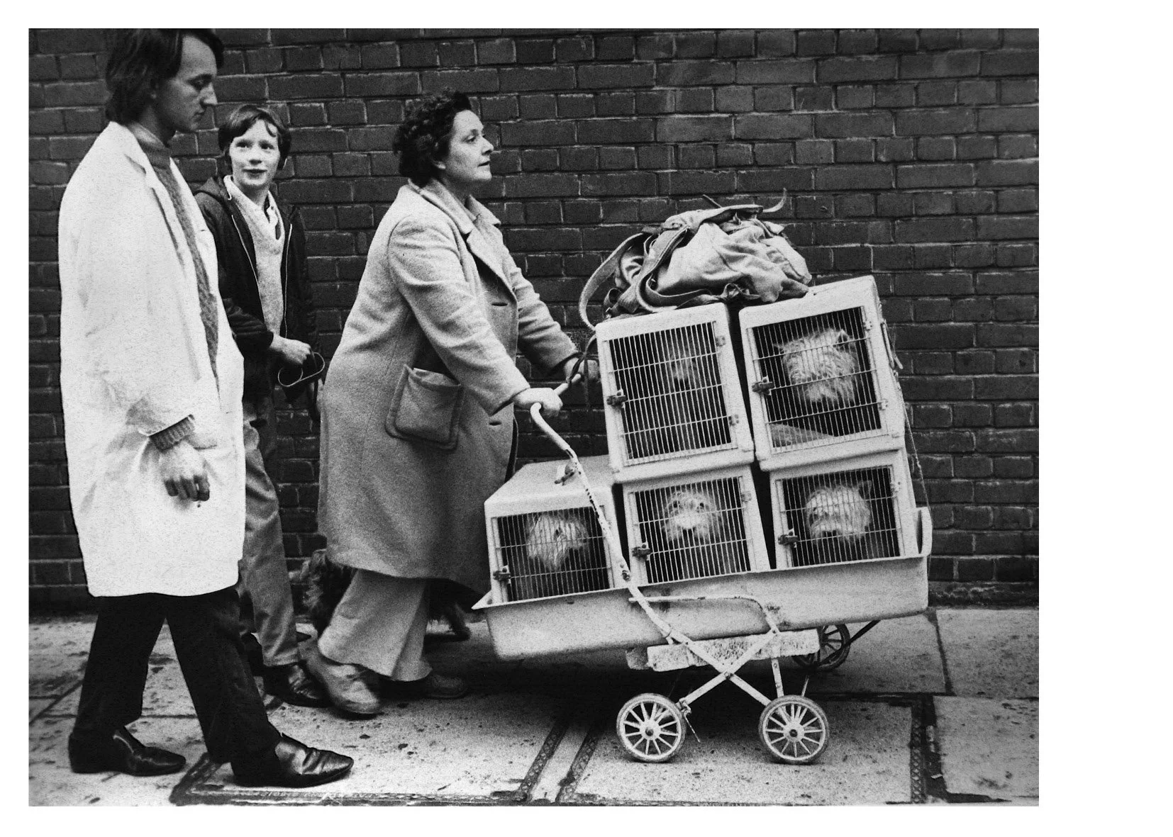 Sonya Newell-Smith Dog People Crufts c1970 web12002.jpg