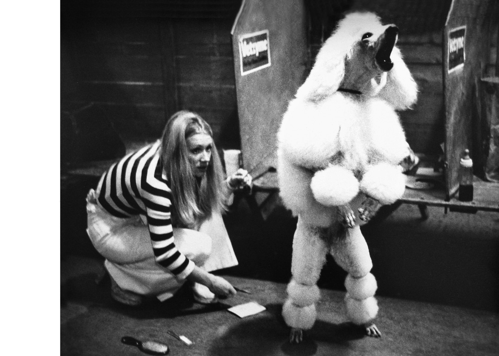 Sonya Newell-Smith Dog People Crufts c1970 web120015.jpg