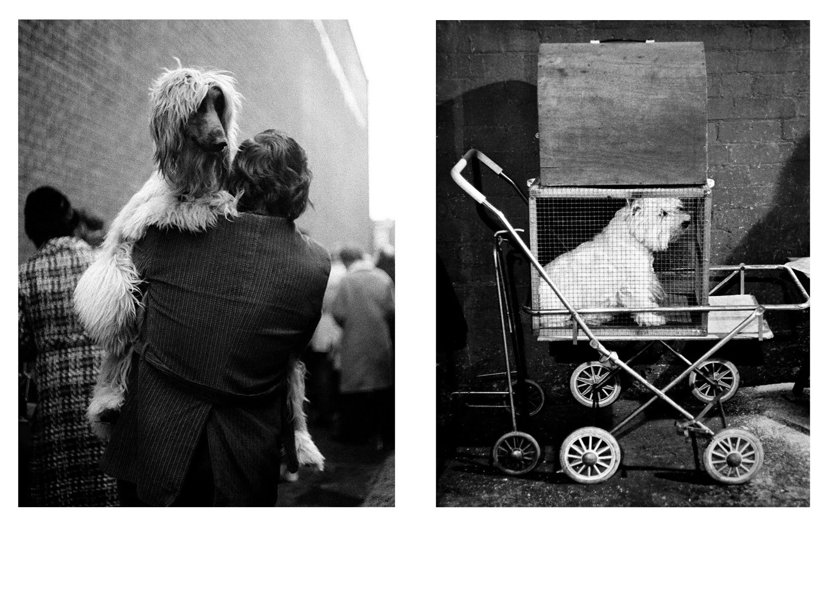 Sonya Newell-Smith Dog People Crufts c1970 web12007.jpg