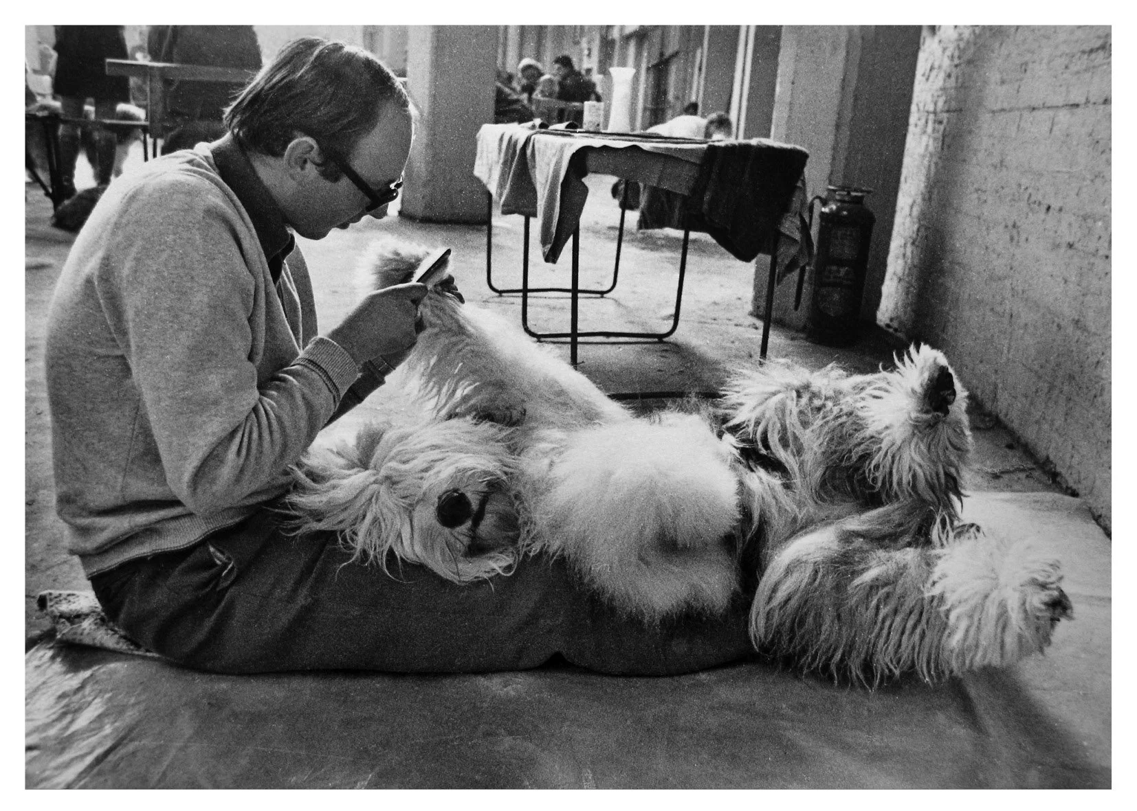 Sonya Newell-Smith Dog People Crufts c1970 web12003.jpg