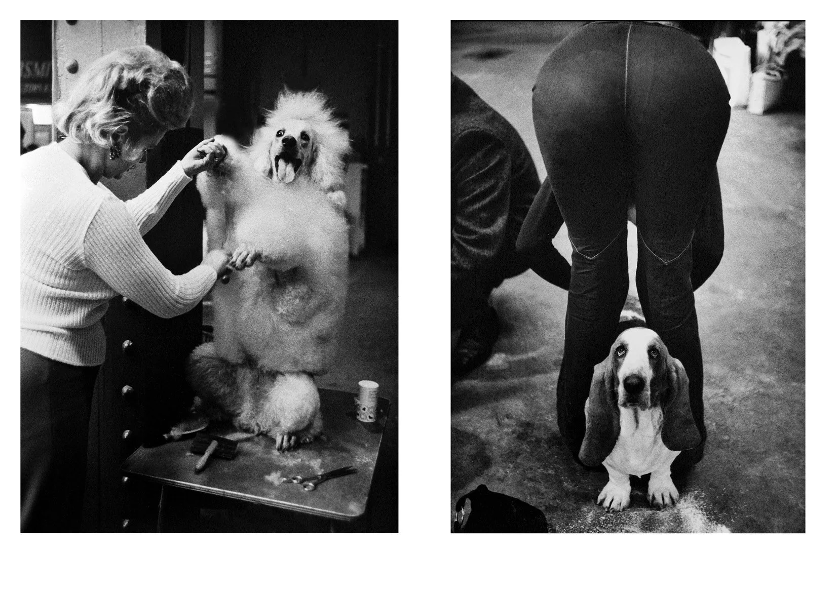 Sonya Newell-Smith Dog People Crufts c1970 web120014.jpg