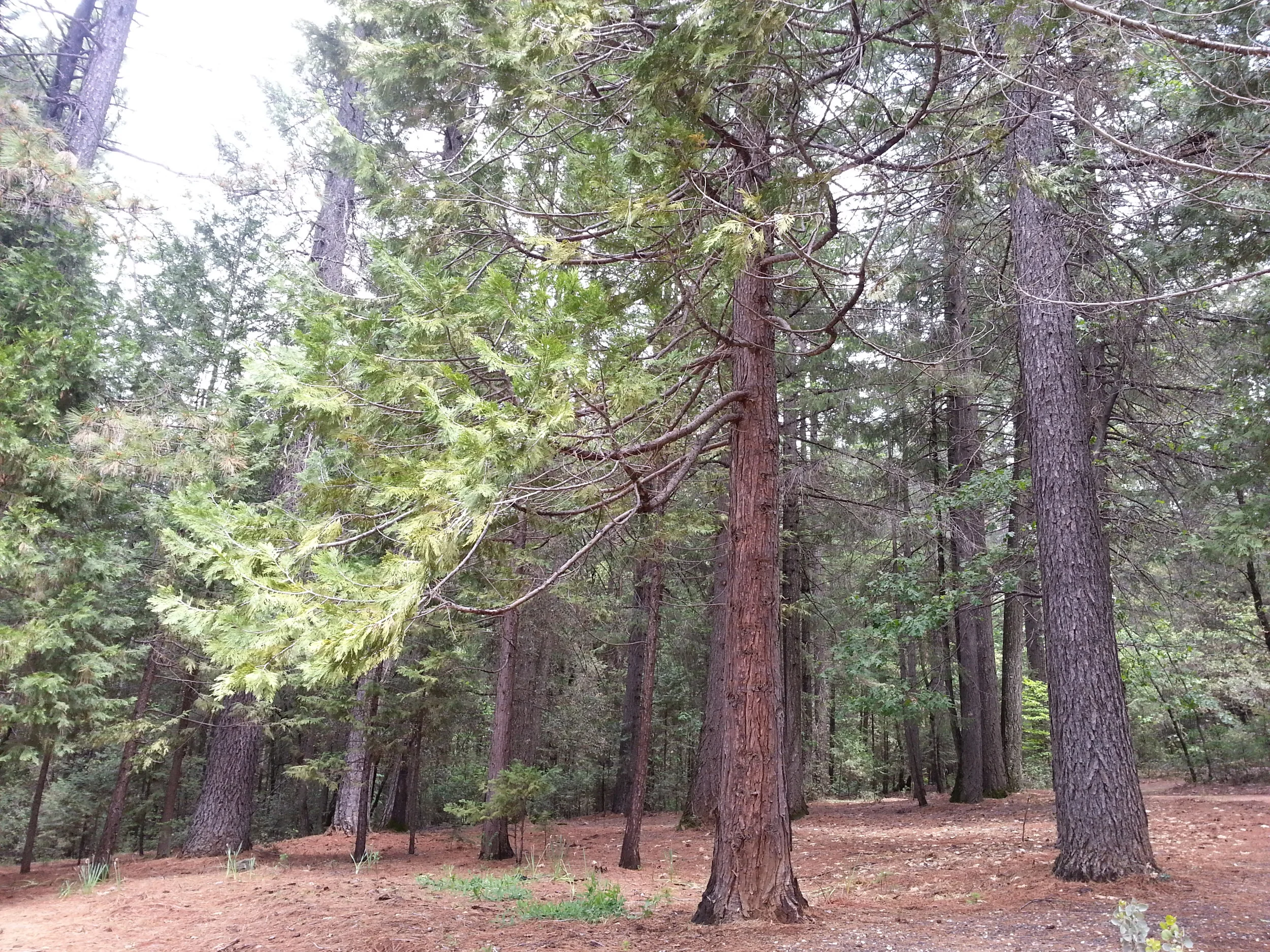 20150425_125922.jpg