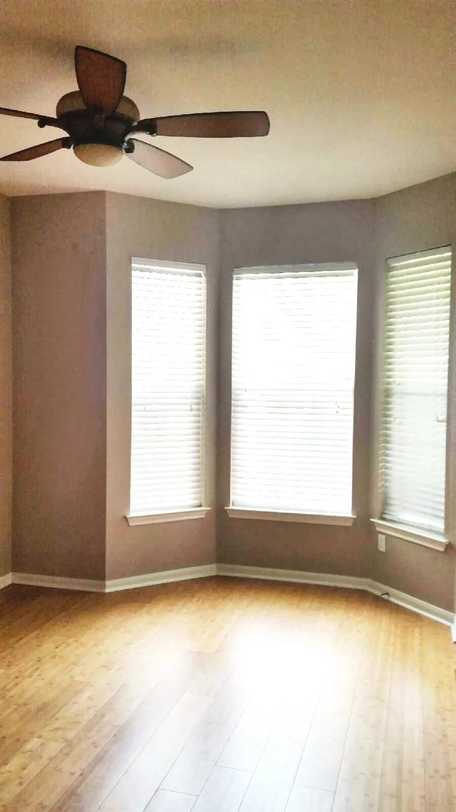 03-window.jpg
