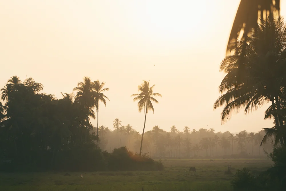 couple_seance_photo_goa-15.jpg