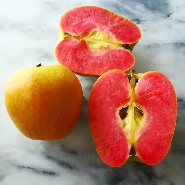 One crazy thing about moving to the northwest is the mass varieties of apples I've never even imagine existed! (These are the pink pearl - a bit on the tart side.) 🍎🍎🍎 #apples #nomnom