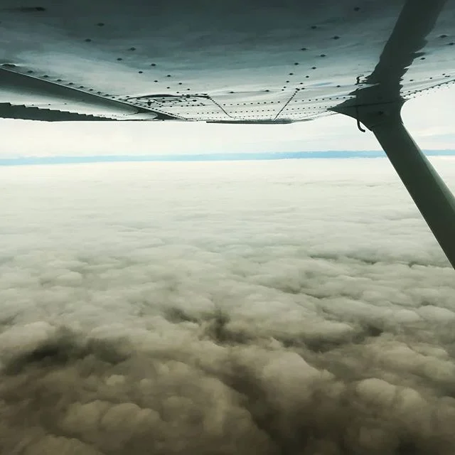 When it gets a little dark and gloomy down here, we go searchin' for the sun. 🌤️