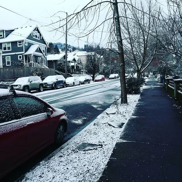 We. Will. Rebuild. ❄️❄️❄️
<Glad we stocked up on essentials like kale and broccoli like a true portlander would during this wild and uncertain weather.> #portland #sarcasm