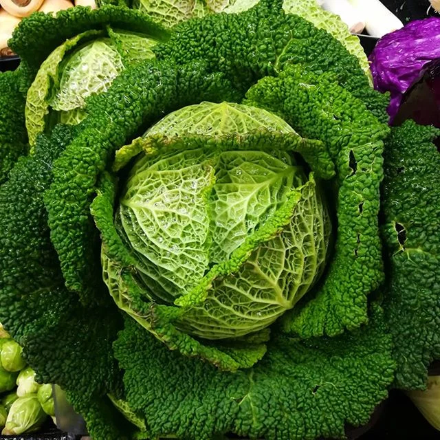 I'll be disappointed if a cabbage patch baby doesn't pop out of there. Spotted @foodfrontcoop a few weeks ago. 🍏🍆🥒 #itsthesmallthings