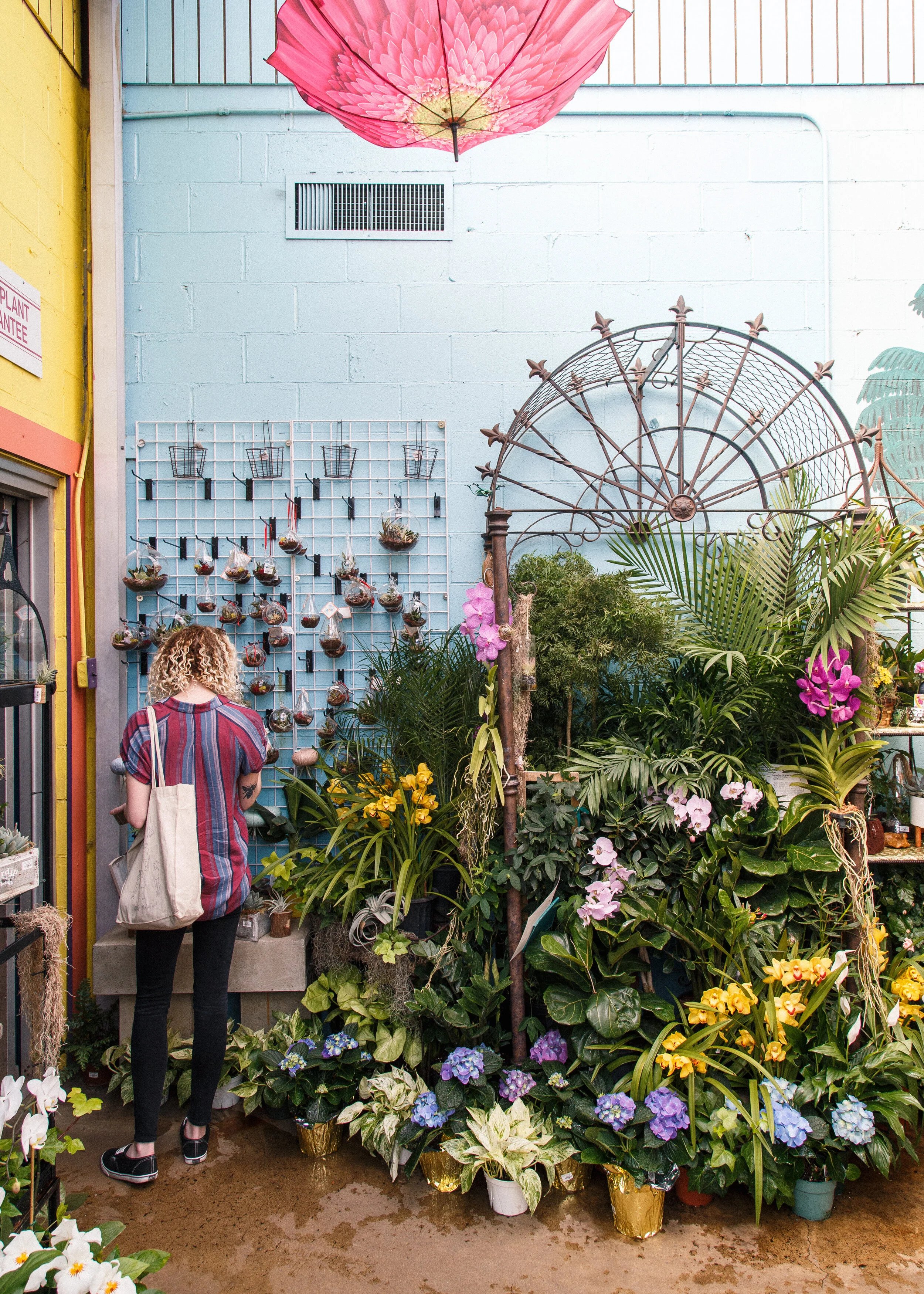 Oakland Nursery-11.jpg